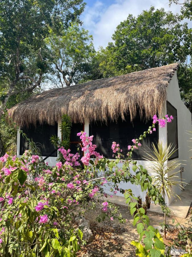 Maya Eco Village Akumal Zewnętrze zdjęcie